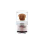 Color Institute Face & Body Loose Shimmer Powder (Loose Face Shiner)